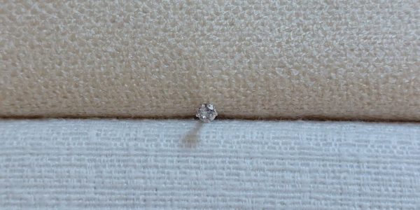 Piercing Labret Ponto de Luz Prata