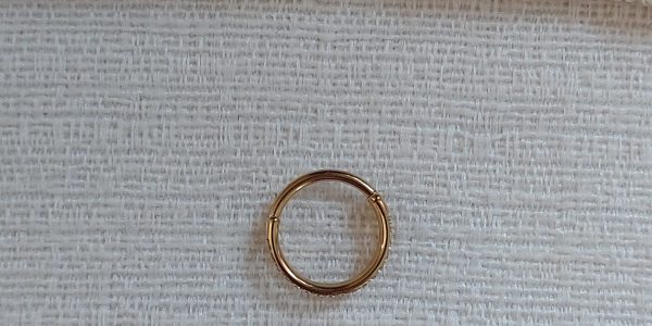 Piercing Argola Duas Linhas Titânio