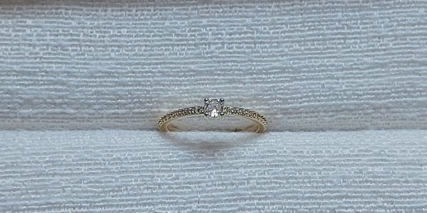 Anel Fino Cravejado 4 Garras